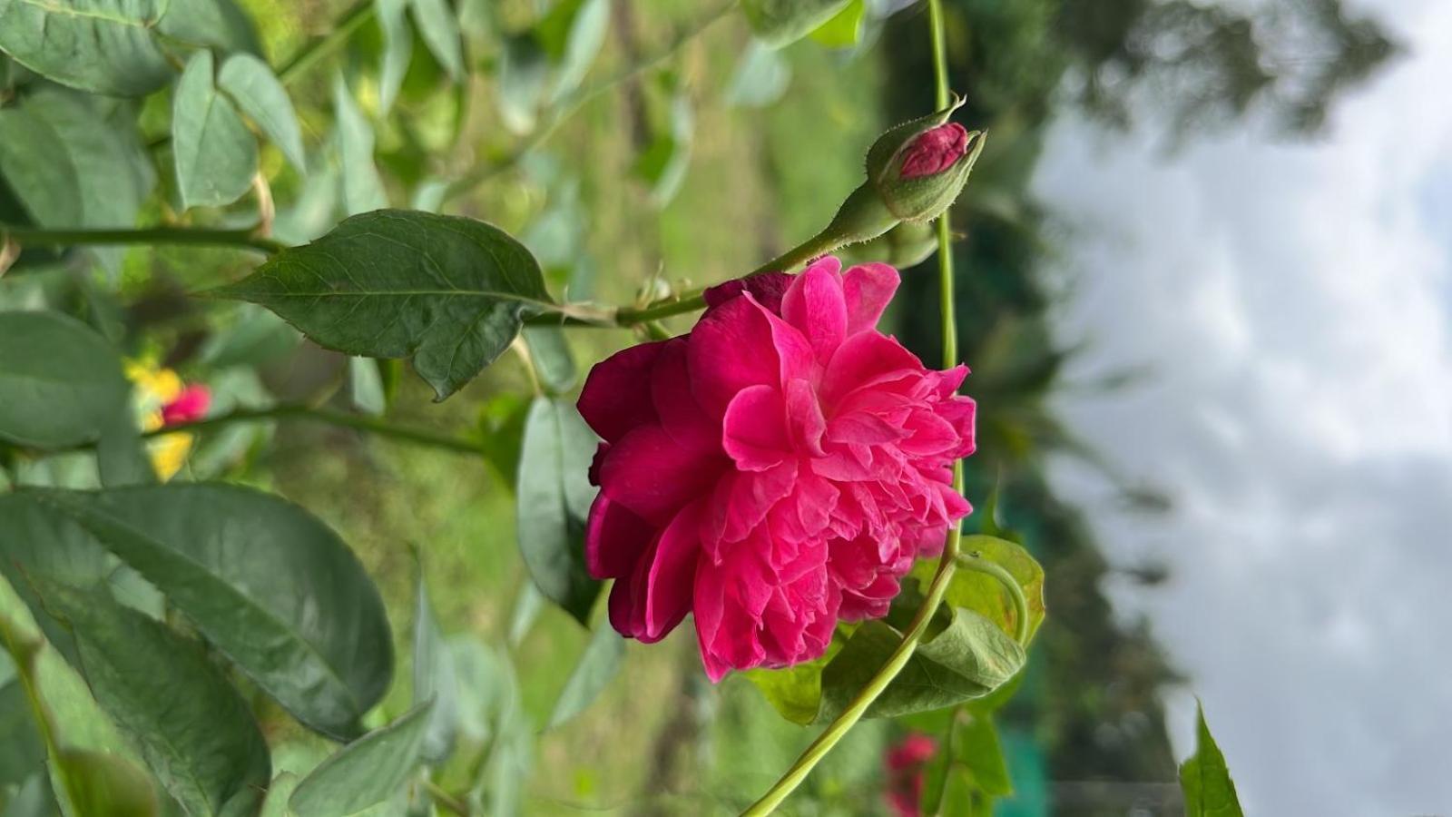Chaitanya Farms Karjat Ngoại thất bức ảnh